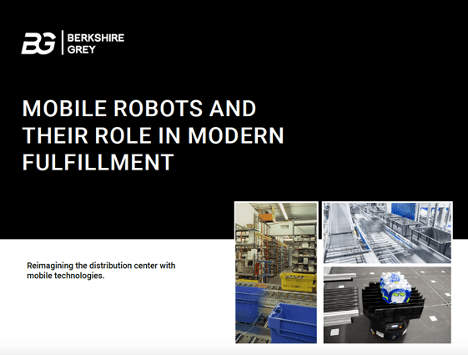 eBook mobile robots
