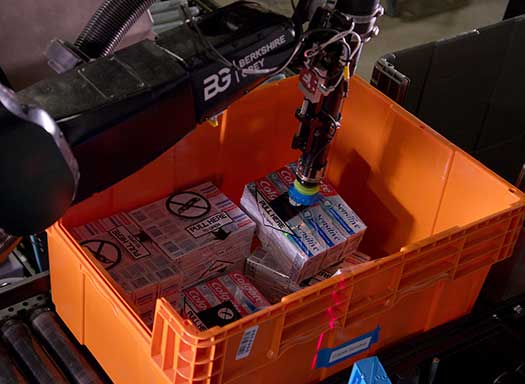 Berkshire Grey picking robot selects a bulk wrapped SKU from a homogeneous inventory tote for order fulfillment.