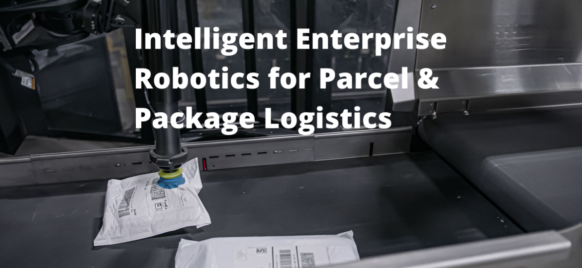 Cover image for Intelligent Enterprise Robotics for Parcel & Package Logistics