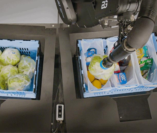 Pick, pack, and sort individual items directly into totes, shopping bags, and other order containers.